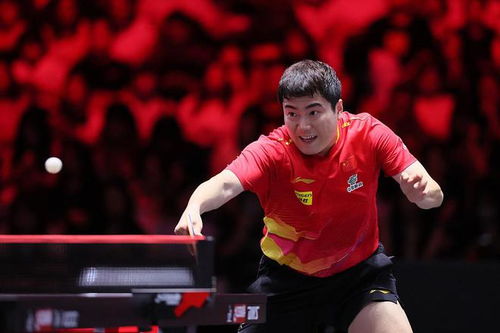 球迷们为王楚钦加油打气