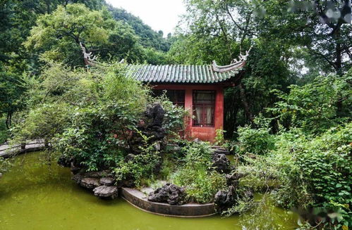 贵阳黔灵山公园夏日绿意