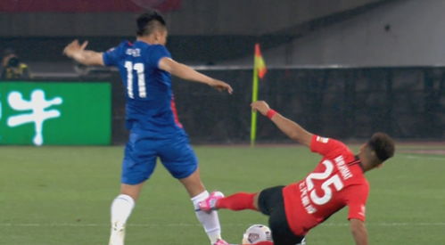 范志毅直播解说画面