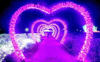 青岛海边仲夏夜灯光璀璨的舞台