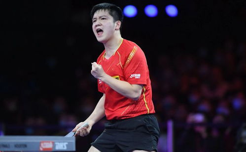 樊振东在训练场上专注练习