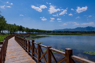 北京野鸭湖湿地公园风光