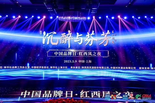 钟氏双英：酒中慧影，一场穿越千年的文化盛宴