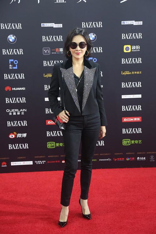 张极接受媒体采访微笑面对镜头