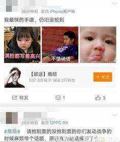 粉丝熬夜抢鹿晗演唱会门票