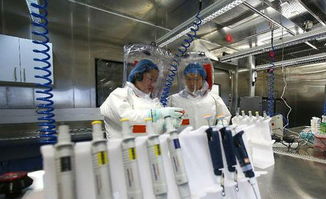 科研人员分析样本