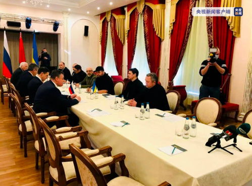 俄乌谈判代表在会议室内的场景