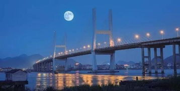 温州大桥夜景