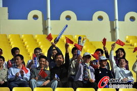 球迷挥舞国旗助威