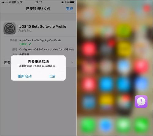 iOS26设置中可关闭透明效果选项