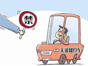 男子乘网约车面试被司机送进湖里？真相曝光引热议