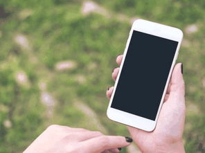 全红婵推荐单依纯版《李白》引热议，网友：音乐界的‘人传人’现象又来了？