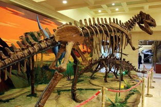 我为什么要写作？一个古生物迷的内心独白