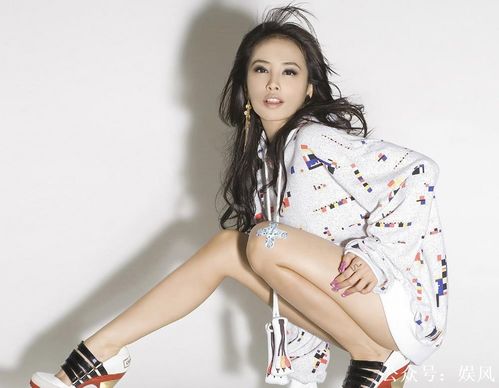 蔡依林公开表示中国人身份截图