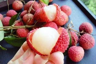 家长给孩子剥荔枝