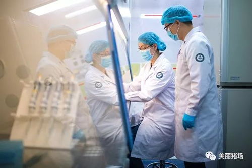 科研人员操作细胞培养设备