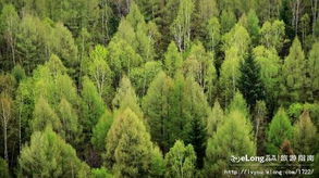 吉林长白山森林绿意盎然