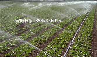 农田边操作数控灌溉系统的农户