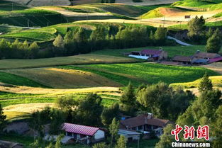 夕阳下的田园风光