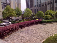 武汉光谷科技园实景图