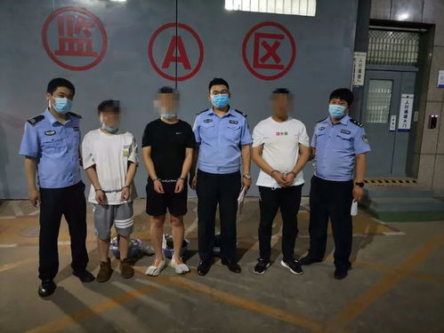 科研人员夜间捕捉蚊虫场景