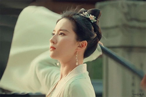 《梦华录》中刘亦菲的宋代造型