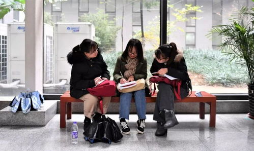 又一年高考时：我坐在考场外，想起那年夏天的自己