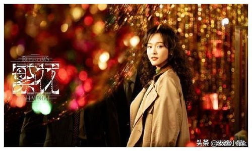 国产剧这次真高级！观众：终于不是套路了