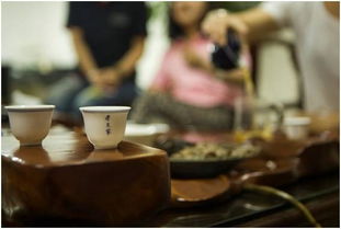 老茶人现场演示手工制茶