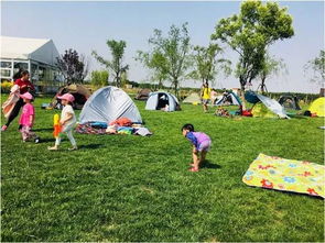 旅行社团队正在策划定制游路线