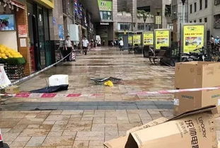 乌龟坠楼砸死幼童，饲主被判赔128万！我亲身讲述高空坠物背后的法律责任与社会反思