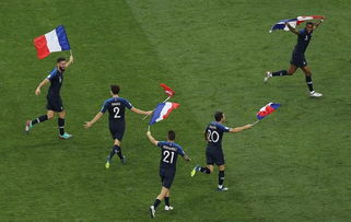 法国队球员庆祝胜利