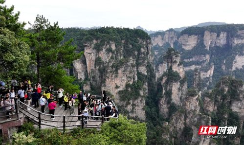 张家界游客滞留现场