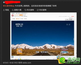 微博网友关于央视删除名字的评论截图