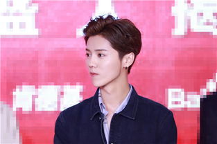 鹿晗独自出席活动照片