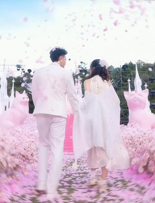 黄子韬与徐艺洋晒结婚证