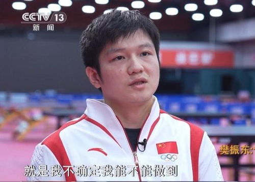 樊振东接受采访画面