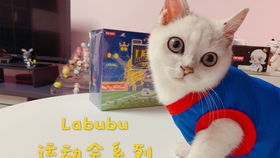 工作人员递出Labubu盲盒