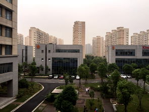 硅谷科技园区与办公楼群