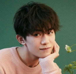 刘宇宁微博粉丝评论截图拼图