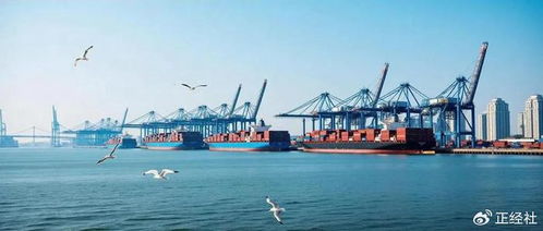长和出售海外港口引风波，外交部发声：中方坚决反对经济胁迫