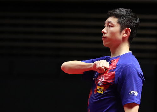 王楚钦许昕樊振东击掌互动燃爆全场，网友直呼：神仙同框！