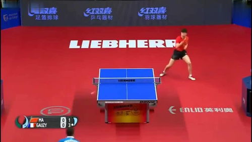 王楚钦与樊振东巅峰对决！谁才是乒坛新王者？