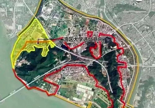 大湾区大学未来发展规划蓝图