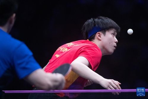 王楚钦与樊振东比赛激烈对抗画面