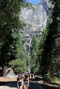 加州优胜美地国家公园的自然风光