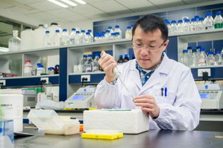 韦东奕在推导公式