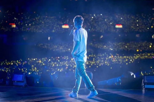 鹿晗演唱会现场粉丝热情欢呼