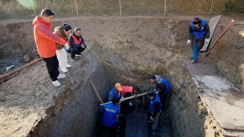亲妈后爸埋娃拍视频寻子，真相令人震惊！