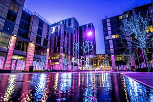 特朗普阅兵梦终圆，强硬表态谁敢破坏就武力镇压？